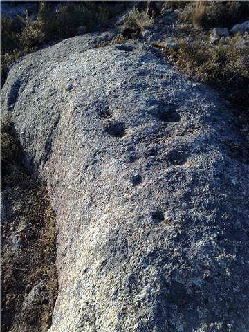 Aliñacións de coviñas nunha rocha do Castro de San Vicenzo (Avión, Ourense).
